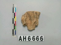 藏品(獸骨)的圖片